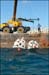 040612reef2-v[1]
